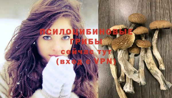 прущий лед Вязьма
