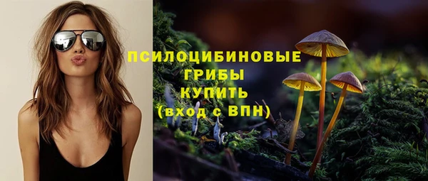 кокаин Вяземский