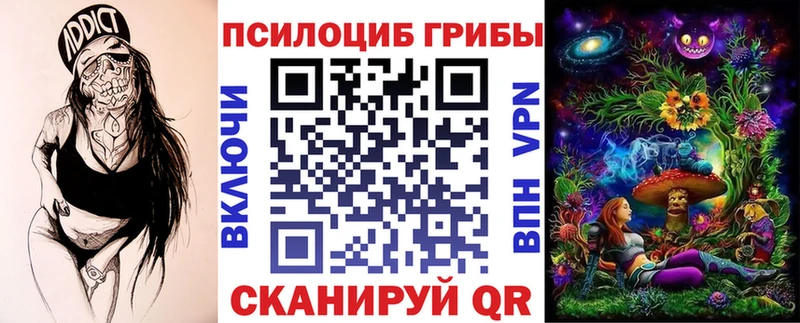 Псилоцибиновые грибы Psilocybine cubensis  Купить  Славгород 